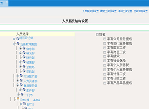 JAVA项目开发