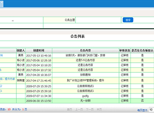 JAVA项目开发